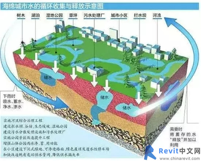 12231601.webp.jpg