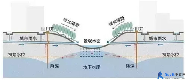 12231602.webp.jpg
