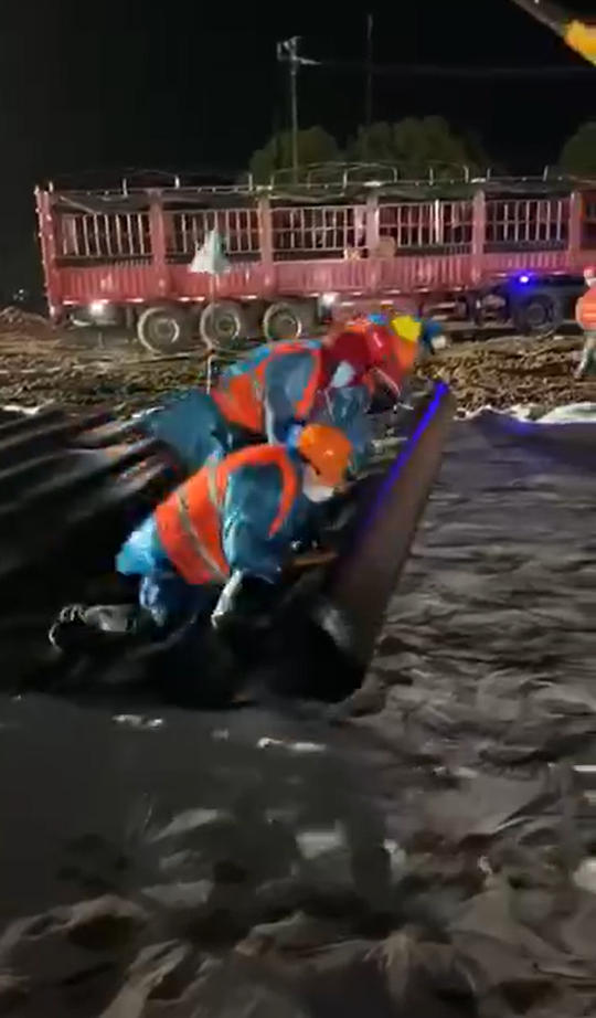 9999999.png